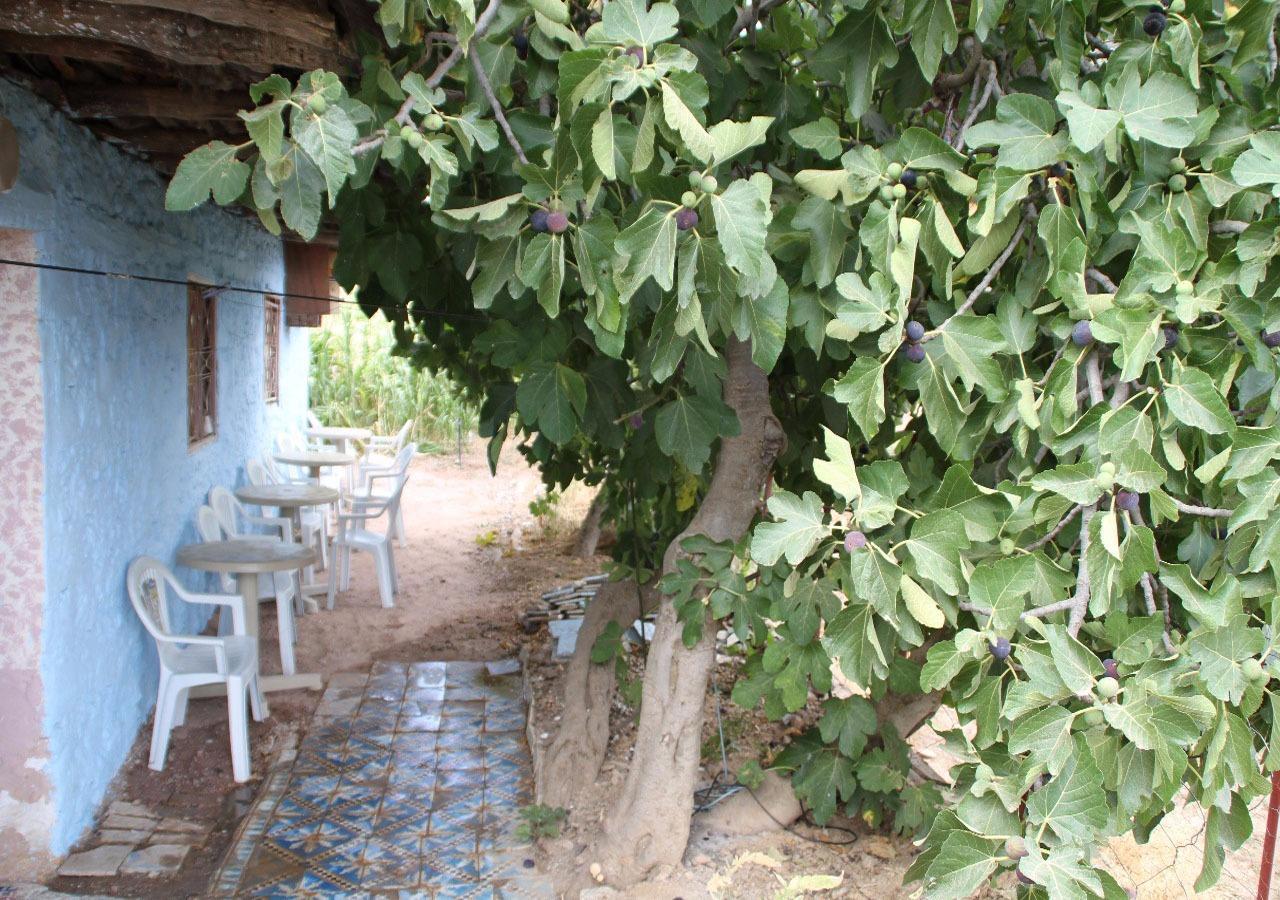 Auberge Admame Exteriér fotografie